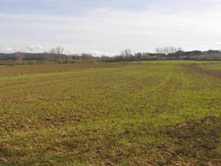 Terreno agricolo in vendita a rosignano marittimo località grotti