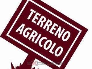 Terreno agricolo in vendita a forlì 