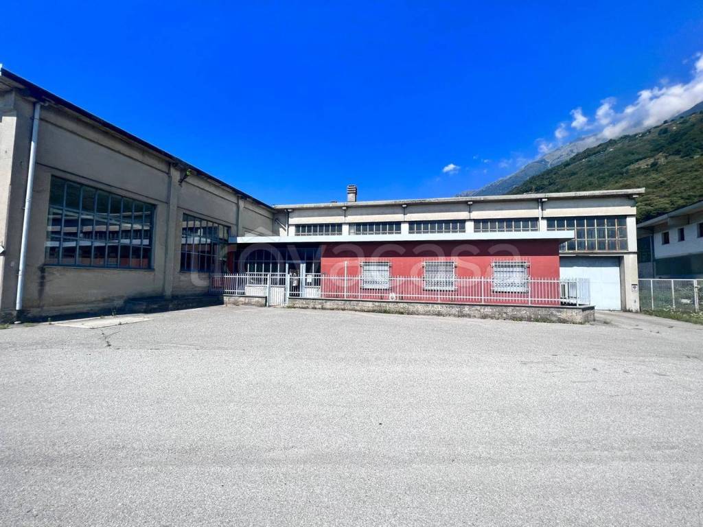 immagine annuncio 8 di 15