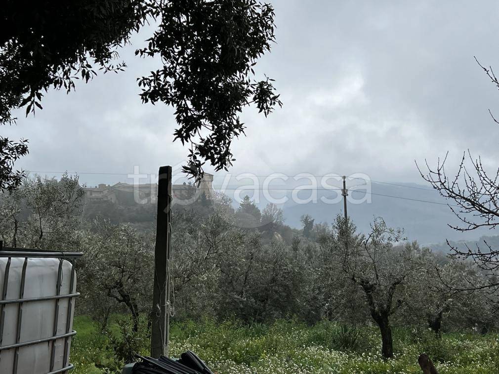 immagine annuncio 12 di 13