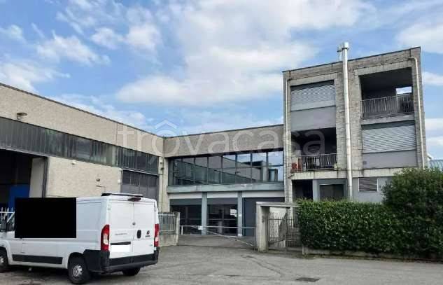 immagine annuncio 1 di 12