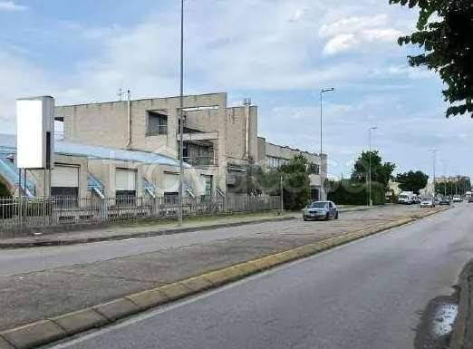 immagine annuncio 3 di 12