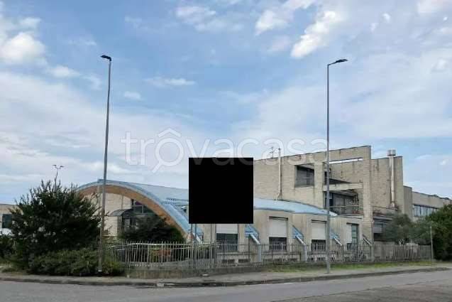 immagine annuncio 4 di 12
