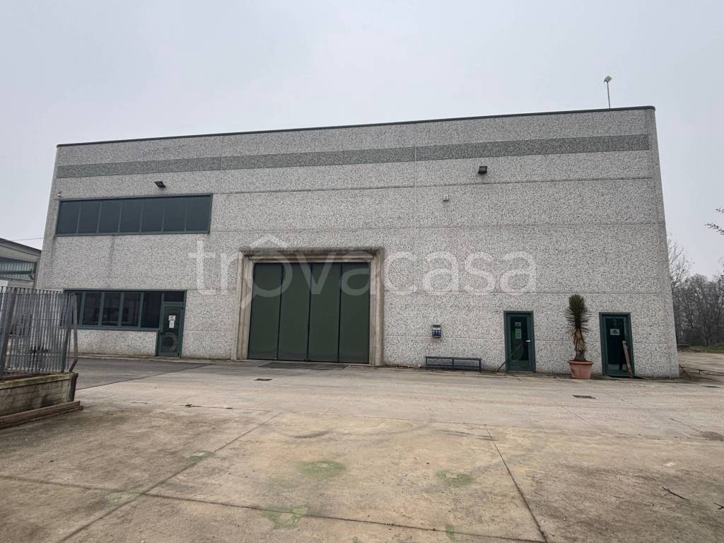 immagine annuncio 2 di 11