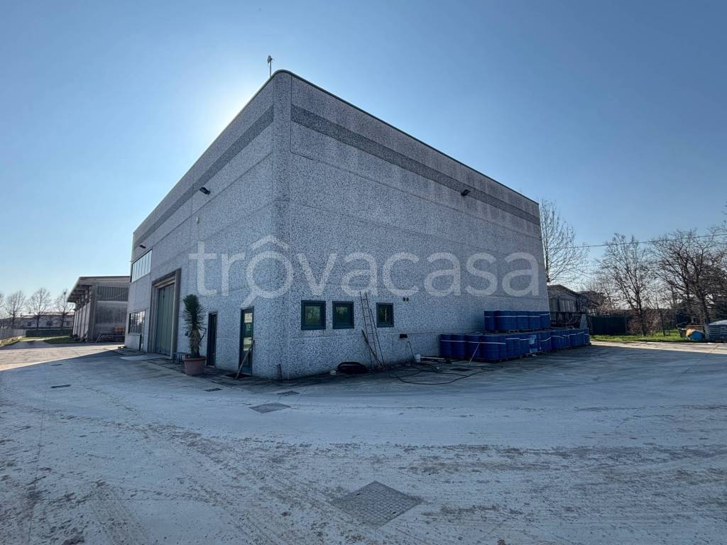 immagine annuncio 3 di 11