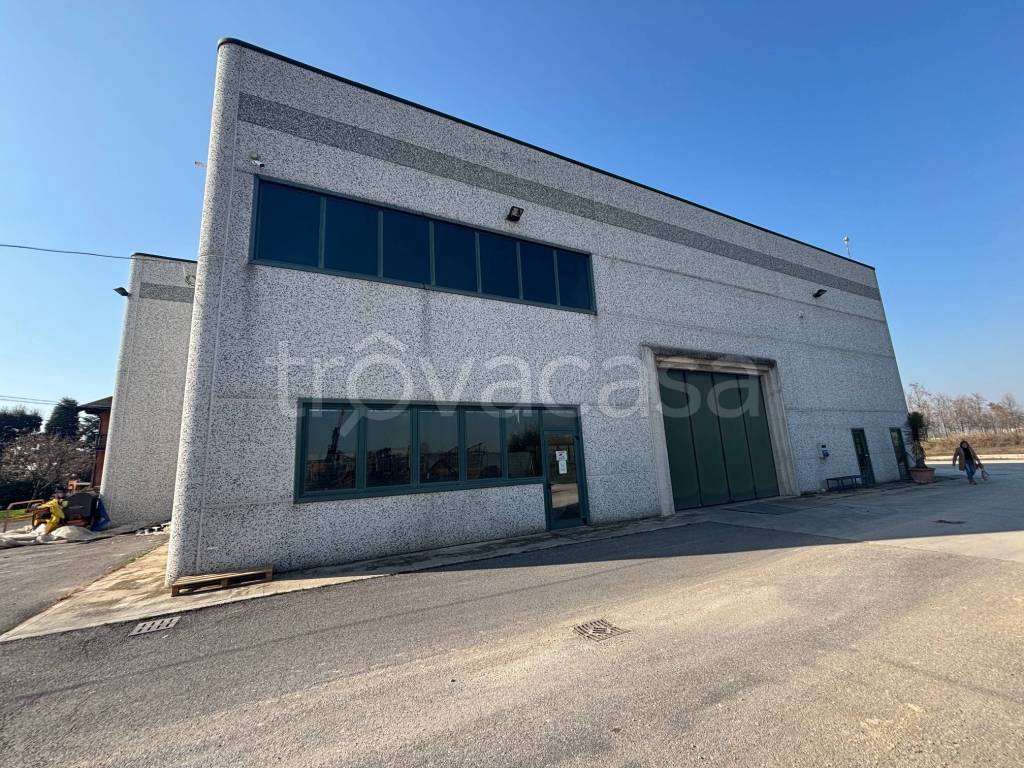 immagine annuncio 4 di 11