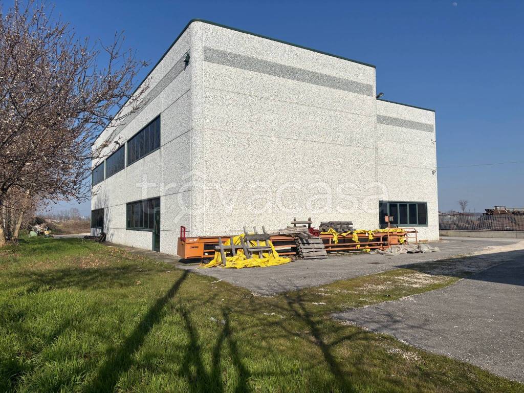 immagine annuncio 6 di 11