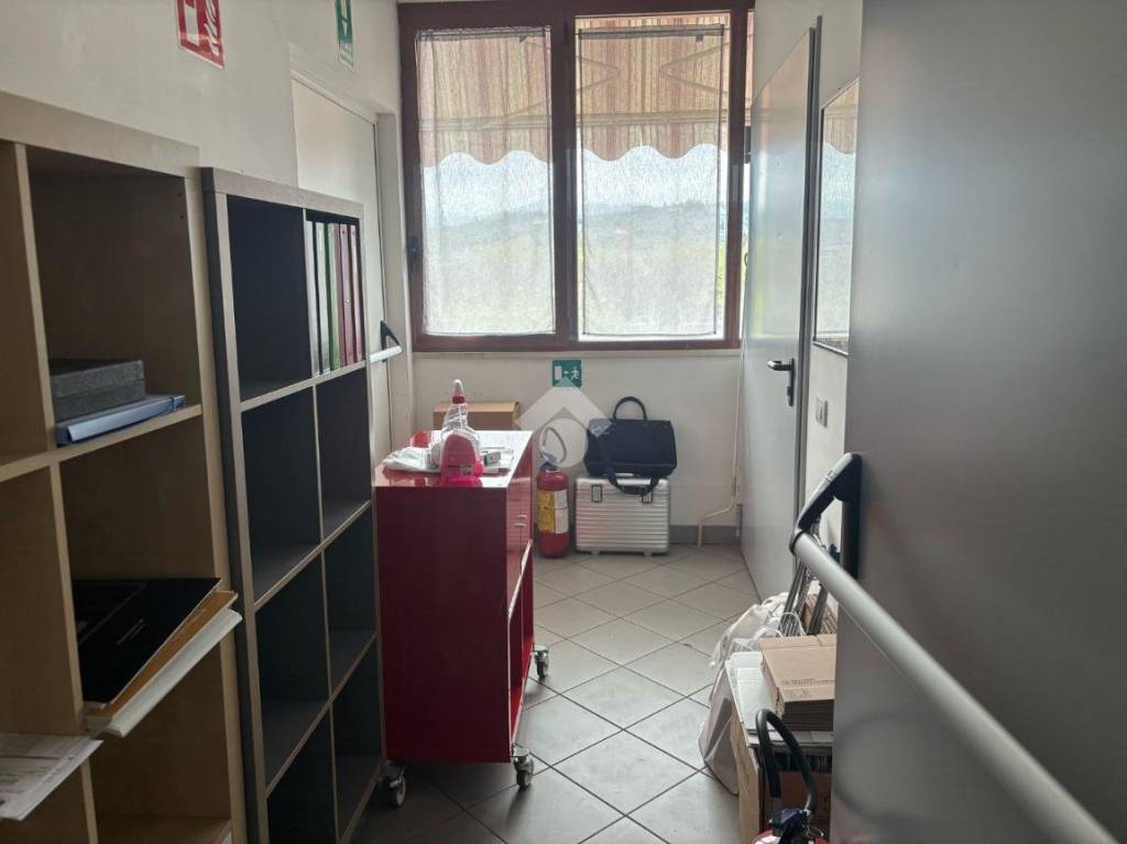 immagine annuncio 5 di 12