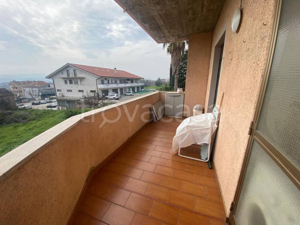 immagine annuncio 12 di 14