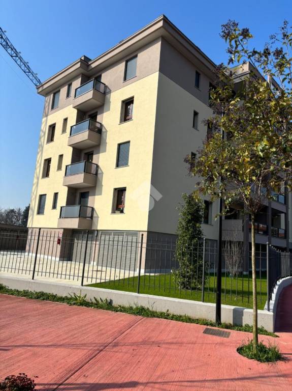 immagine annuncio 7 di 15