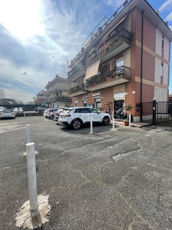 immagine annuncio 5 di 12