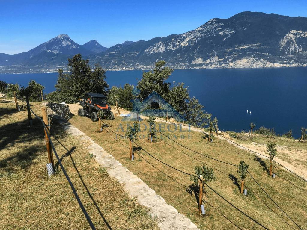 immagine annuncio 6 di 14