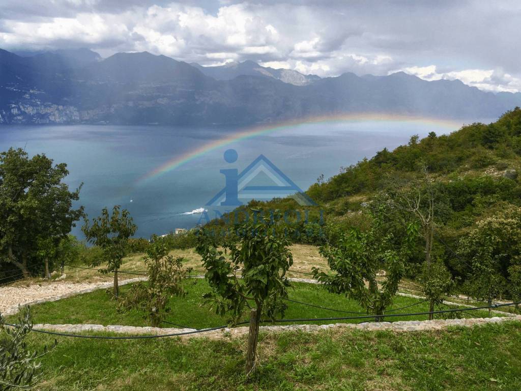 immagine annuncio 5 di 14