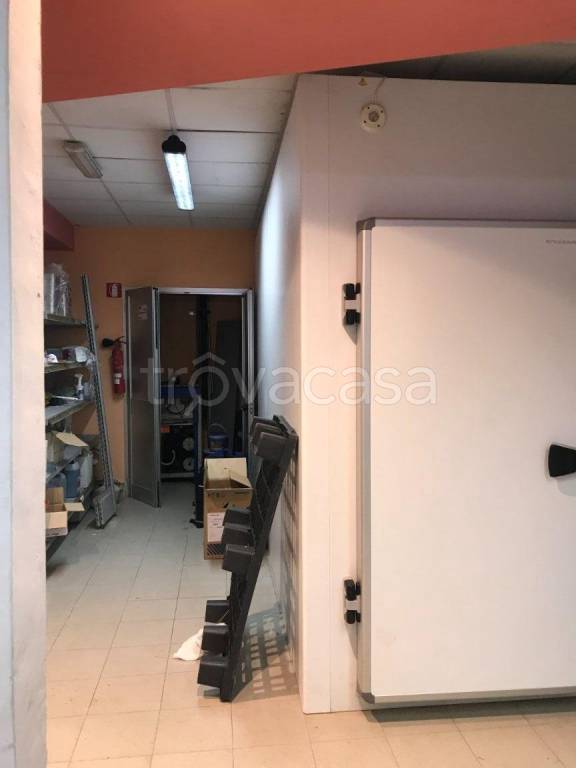 immagine annuncio 4 di 7