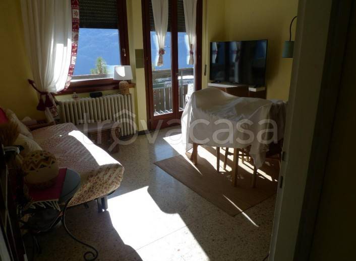immagine annuncio 7 di 14