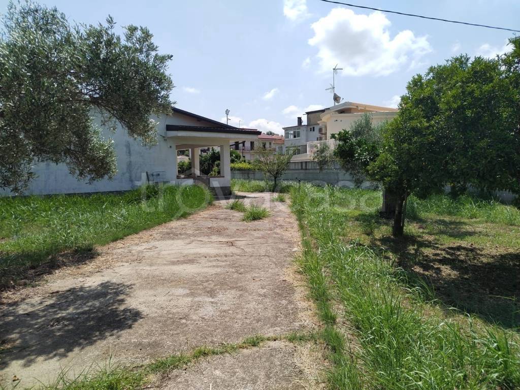 immagine annuncio 4 di 11