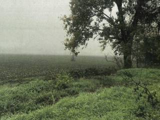 Terreno agricolo all'asta a monticelli d'ongina via monticelli d'ongina, snc