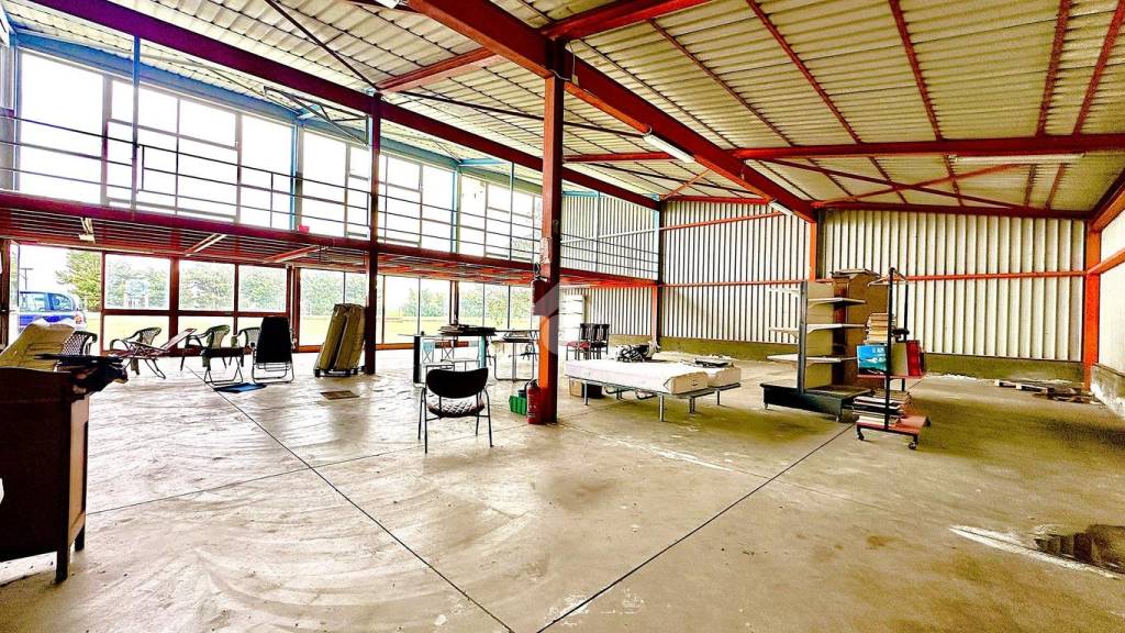 immagine annuncio 1 di 15