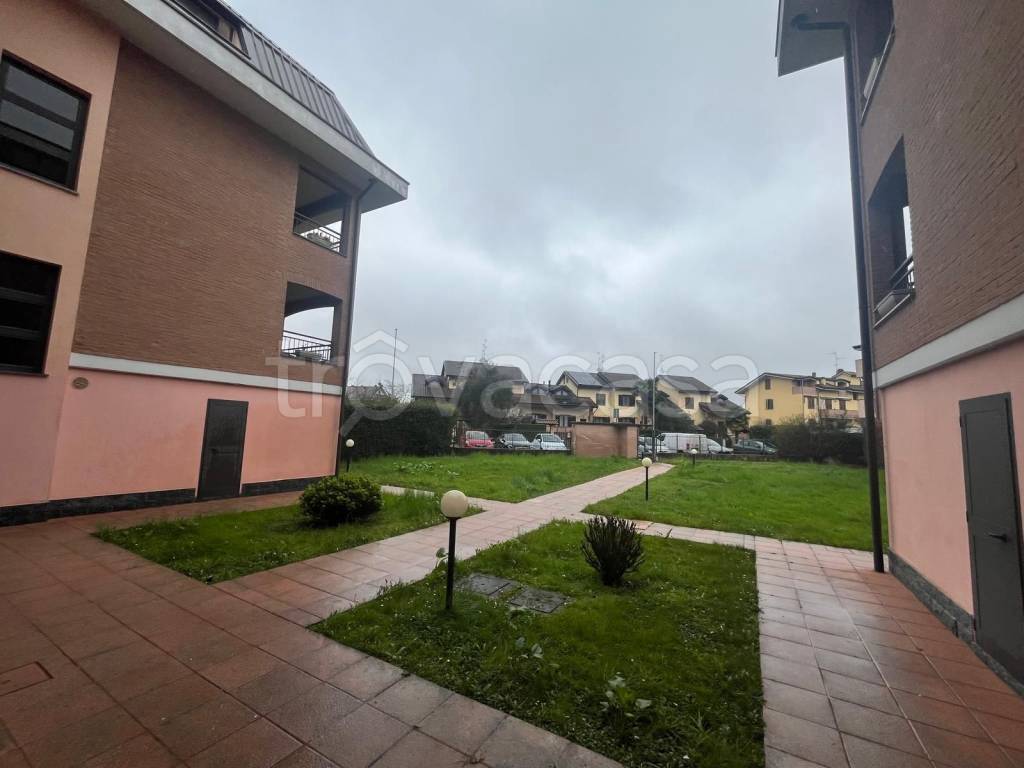 immagine annuncio 1 di 15