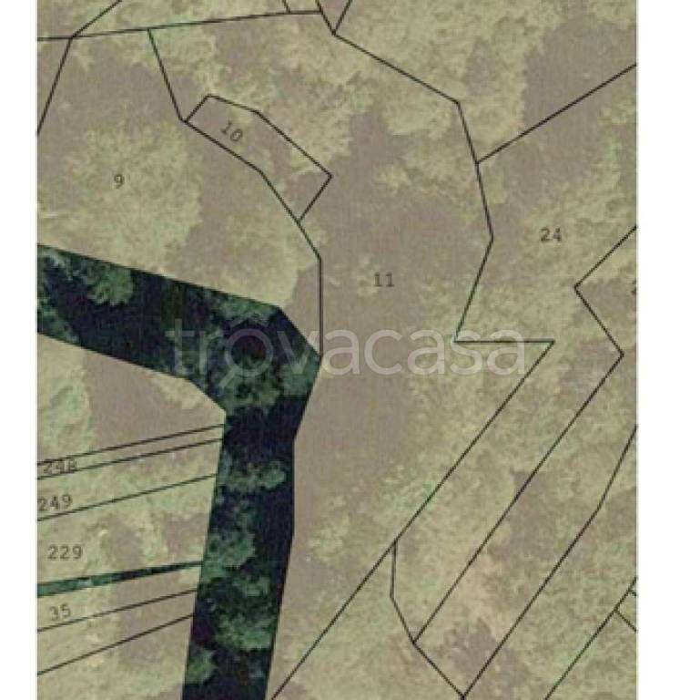 immagine annuncio 6 di 11