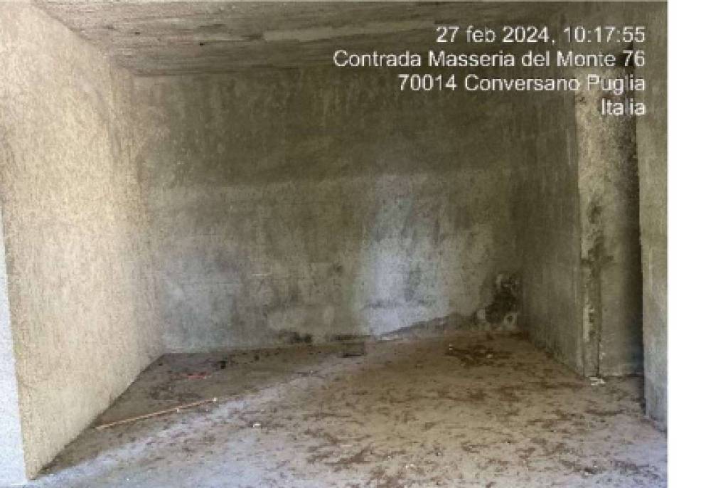 immagine annuncio 2 di 12