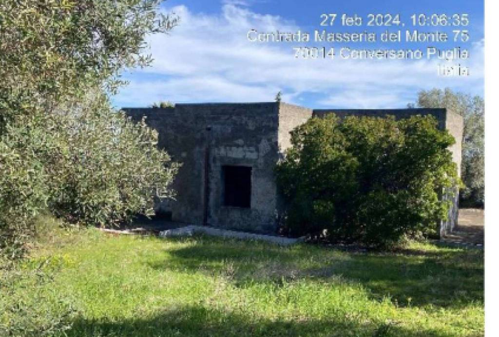 immagine annuncio 4 di 12