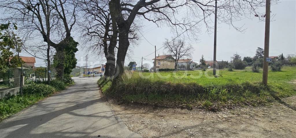 immagine annuncio 8 di 14