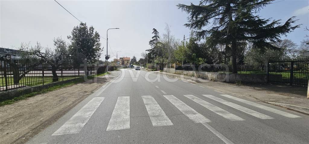 immagine annuncio 9 di 14