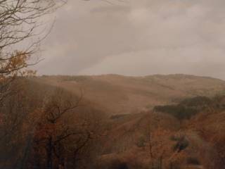 Terreno agricolo in vendita a massa marittima via puglie