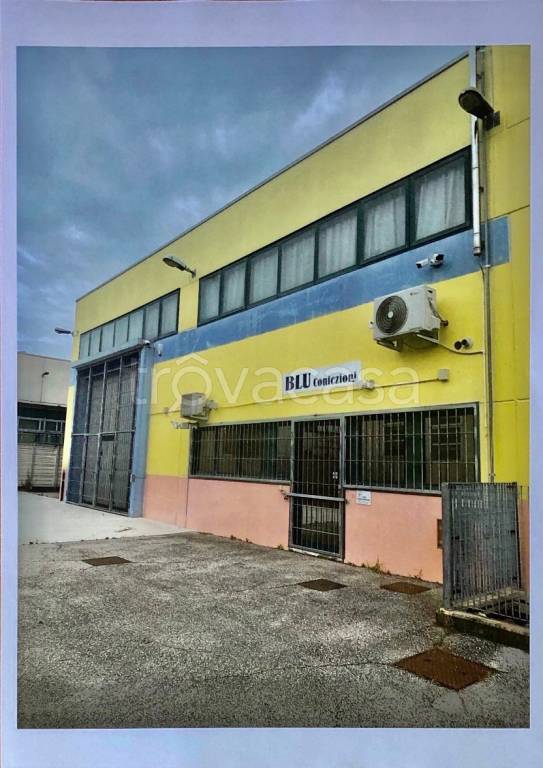 immagine annuncio 9 di 15