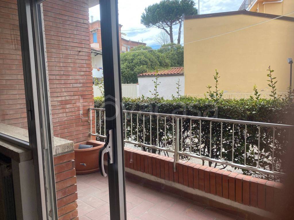 immagine annuncio 2 di 12