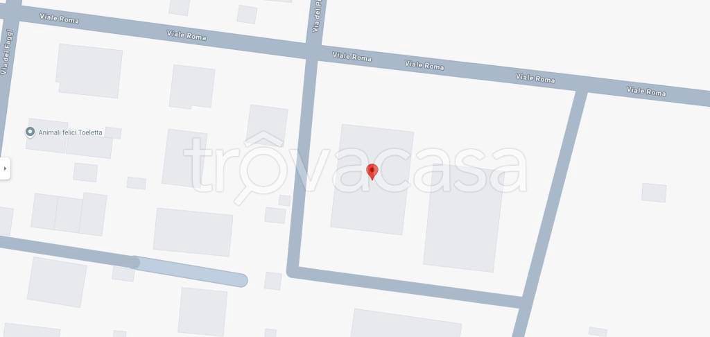 immagine annuncio 13 di 14
