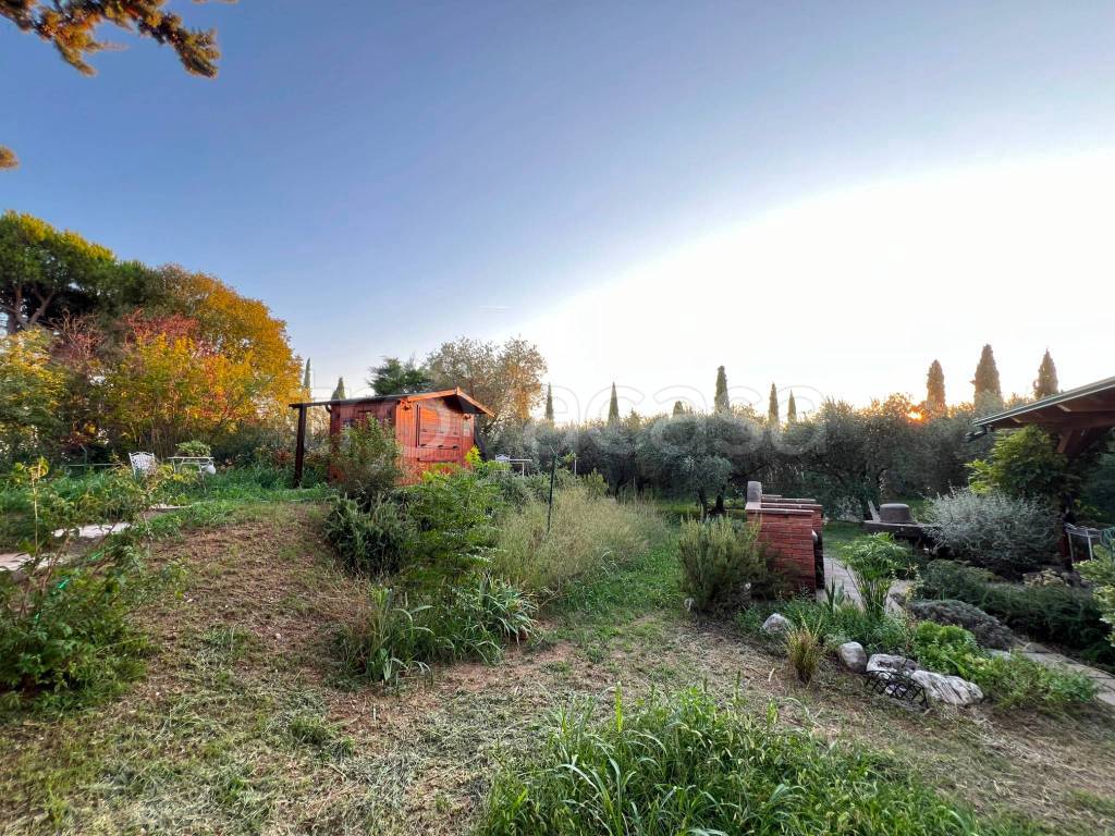 immagine annuncio 8 di 11