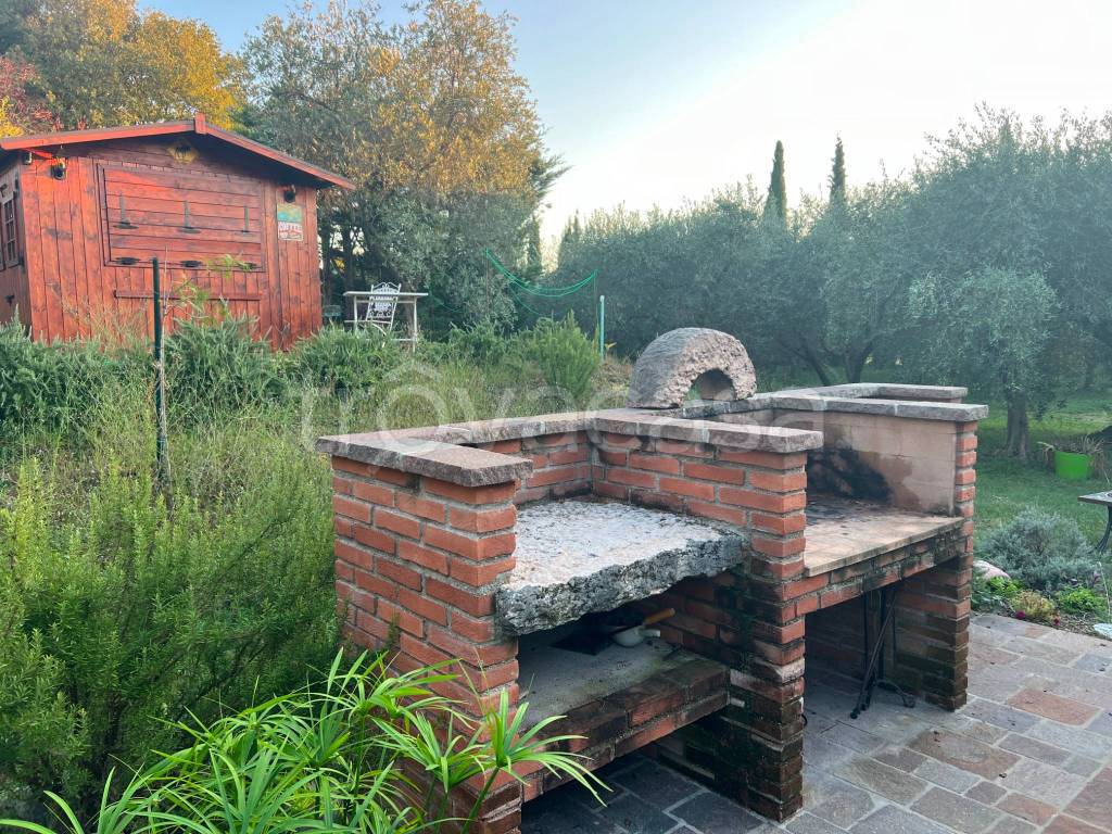 immagine annuncio 9 di 11