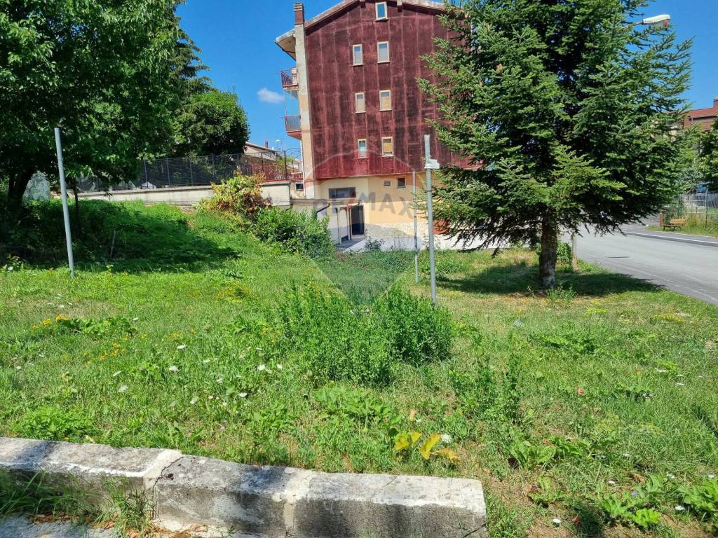 immagine annuncio 2 di 3