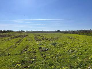 Terreno agricolo in vendita a campomarino via del mare