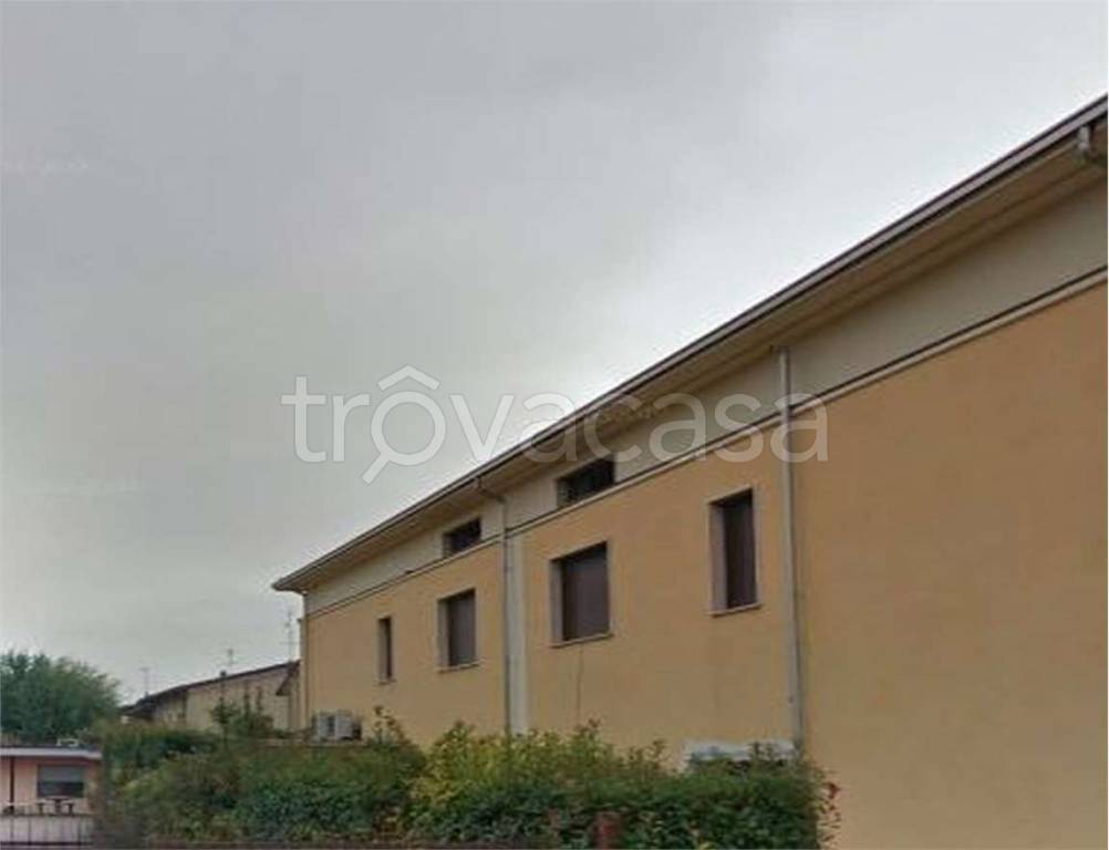 immagine annuncio 3 di 11