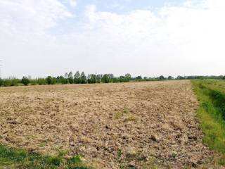 Terreno agricolo in vendita a pianiga via zumianella