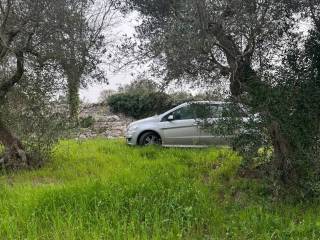 Terreno agricolo in vendita a monopoli contrada santa lucia, 150