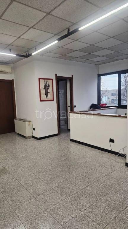 immagine annuncio 11 di 14