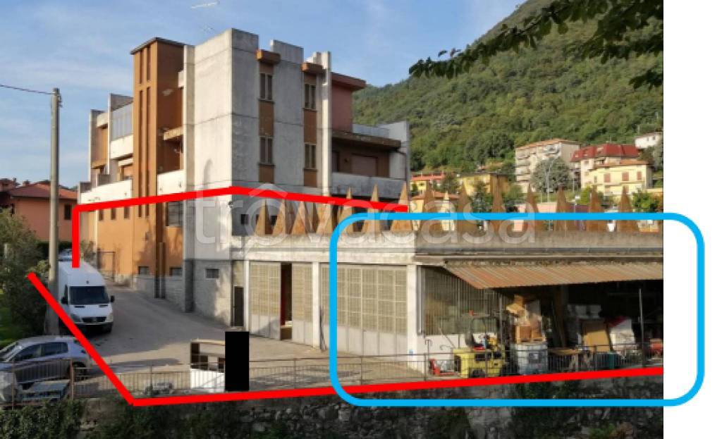immagine annuncio 9 di 14