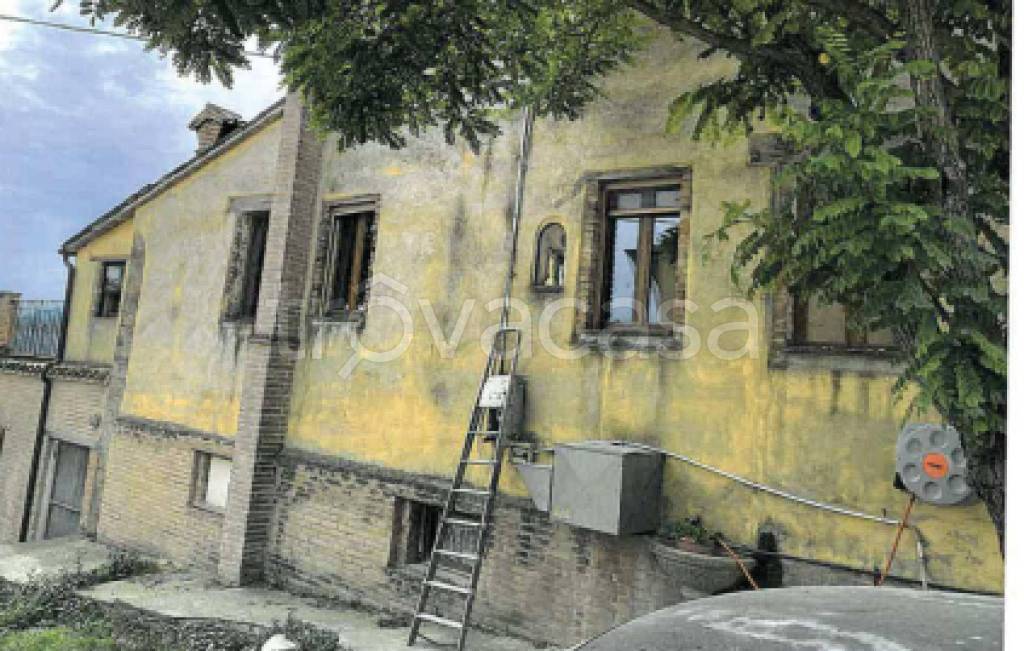 immagine annuncio 2 di 12
