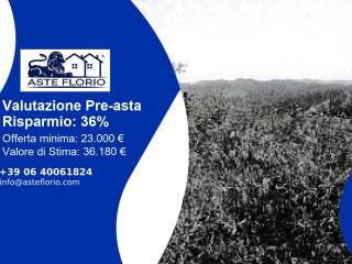 Terreno agricolo all'asta a ravanusa contrada drasi