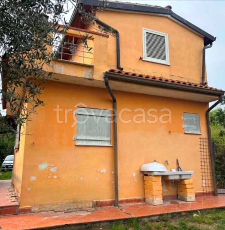 immagine annuncio 1 di 14