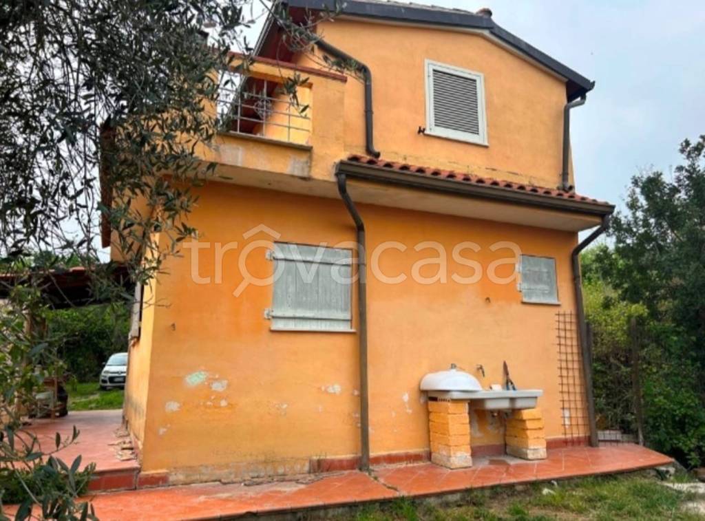 immagine annuncio 2 di 14