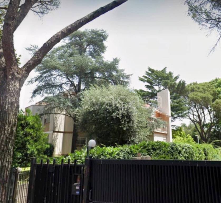 immagine annuncio 2 di 14