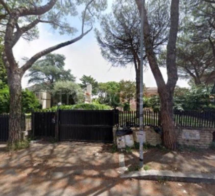 immagine annuncio 8 di 14