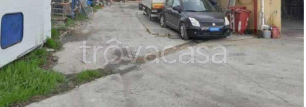 immagine annuncio 5 di 12