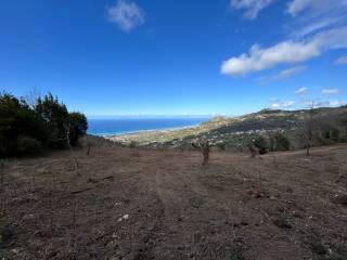 Terreno agricolo in vendita a sant'agata di militello contrada scafone cipollazzi