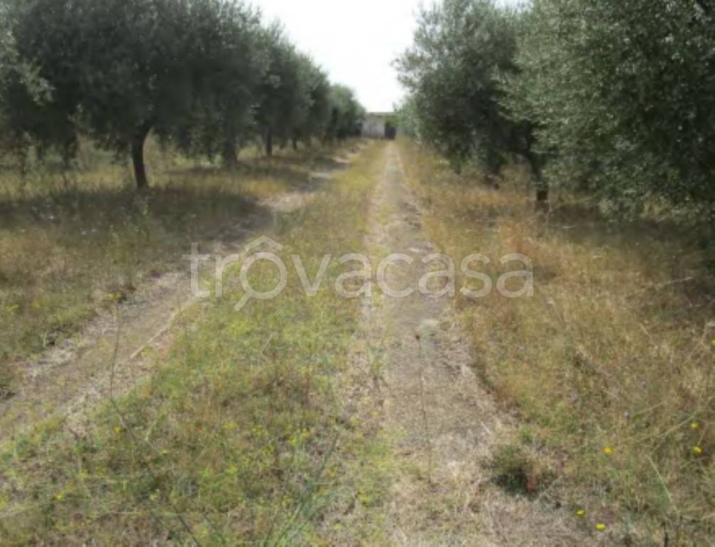 immagine annuncio 9 di 12